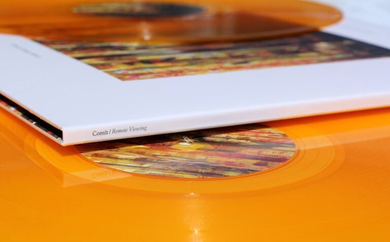 Top Remote Viewing Success Stories from CIA Archives Remote Viewing